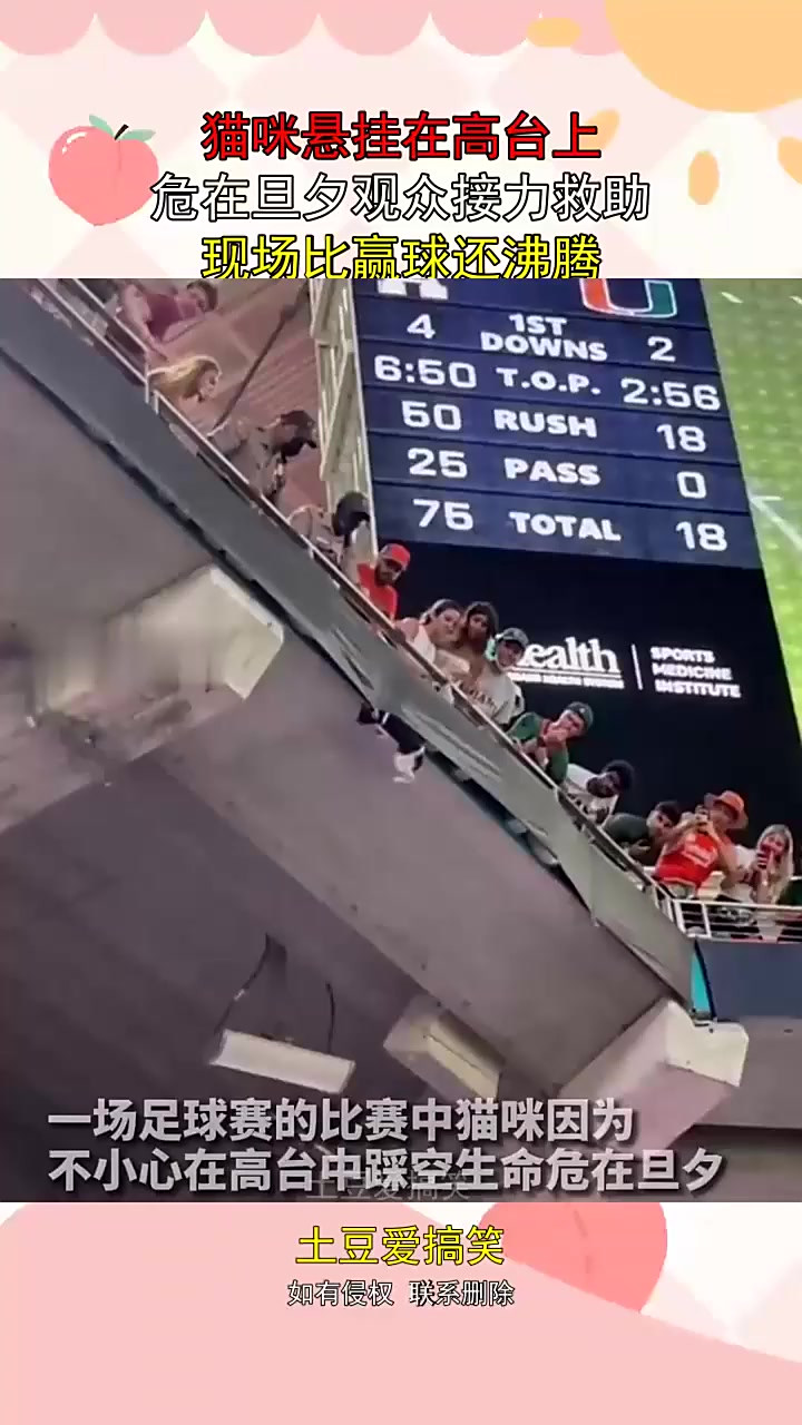 开云-包含反败为胜首场状态出色，曼联观众沸腾！，阿扎伦卡重返赛场气势如虹延续的词条-开云